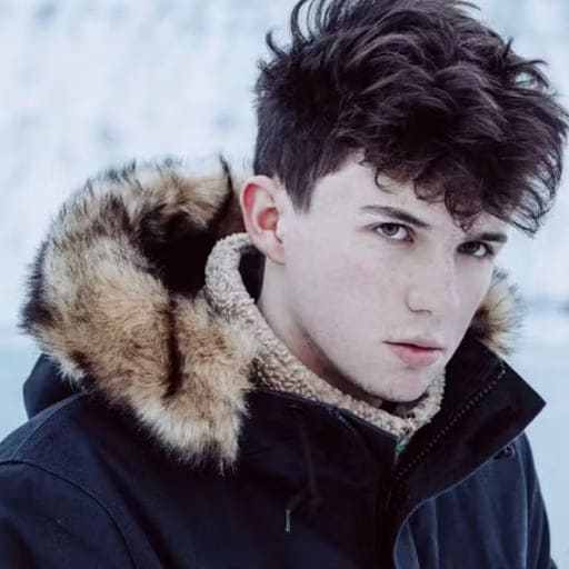 Petit Biscuit